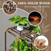 10 Shelves Plant Stand Indoor Outdoor Hanging Plants Shelf - NEW!