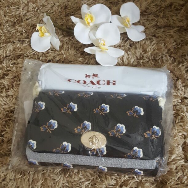 Coach mini ruby clutch and crossbody