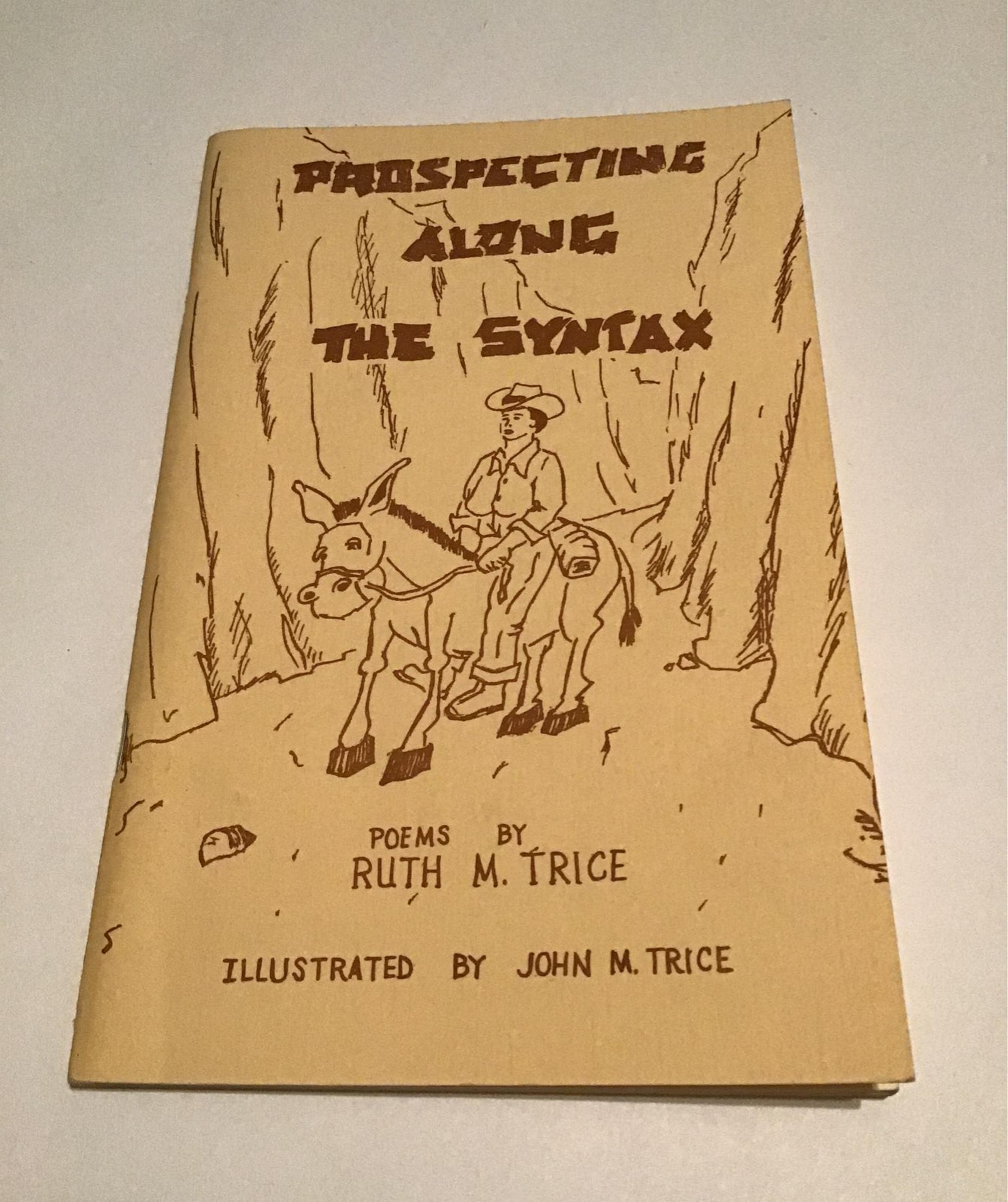 Prospecting Along The Syntax, Poetry by Ruth M. Trice, Vintage 1979