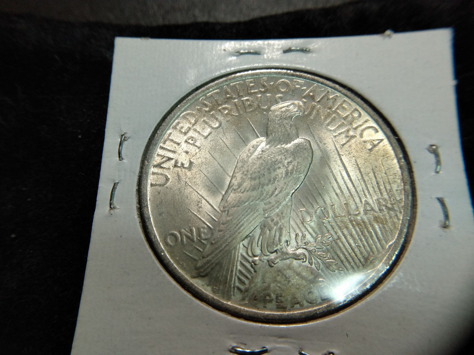1923 MS Peace dollar