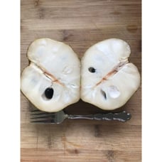 GRAFTED 'Dr White' Cherimoya Tree - Very Large Fruit, Ceamy & Delicious