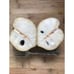 GRAFTED 'Dr White' Cherimoya Tree - Very Large Fruit, Ceamy & Delicious