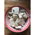 GRAFTED 'Dr White' Cherimoya Tree - Very Large Fruit, Ceamy & Delicious
