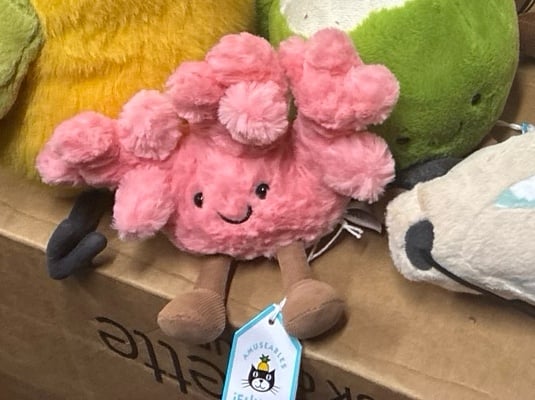 authentic jellycat coral