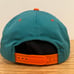 Vintage Miami Dolphins Script Hat