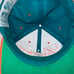 Vintage Miami Dolphins Script Hat