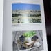 Biblia Reina Valera 1960, Lion of Judah, Spanish bible Hard cover large print