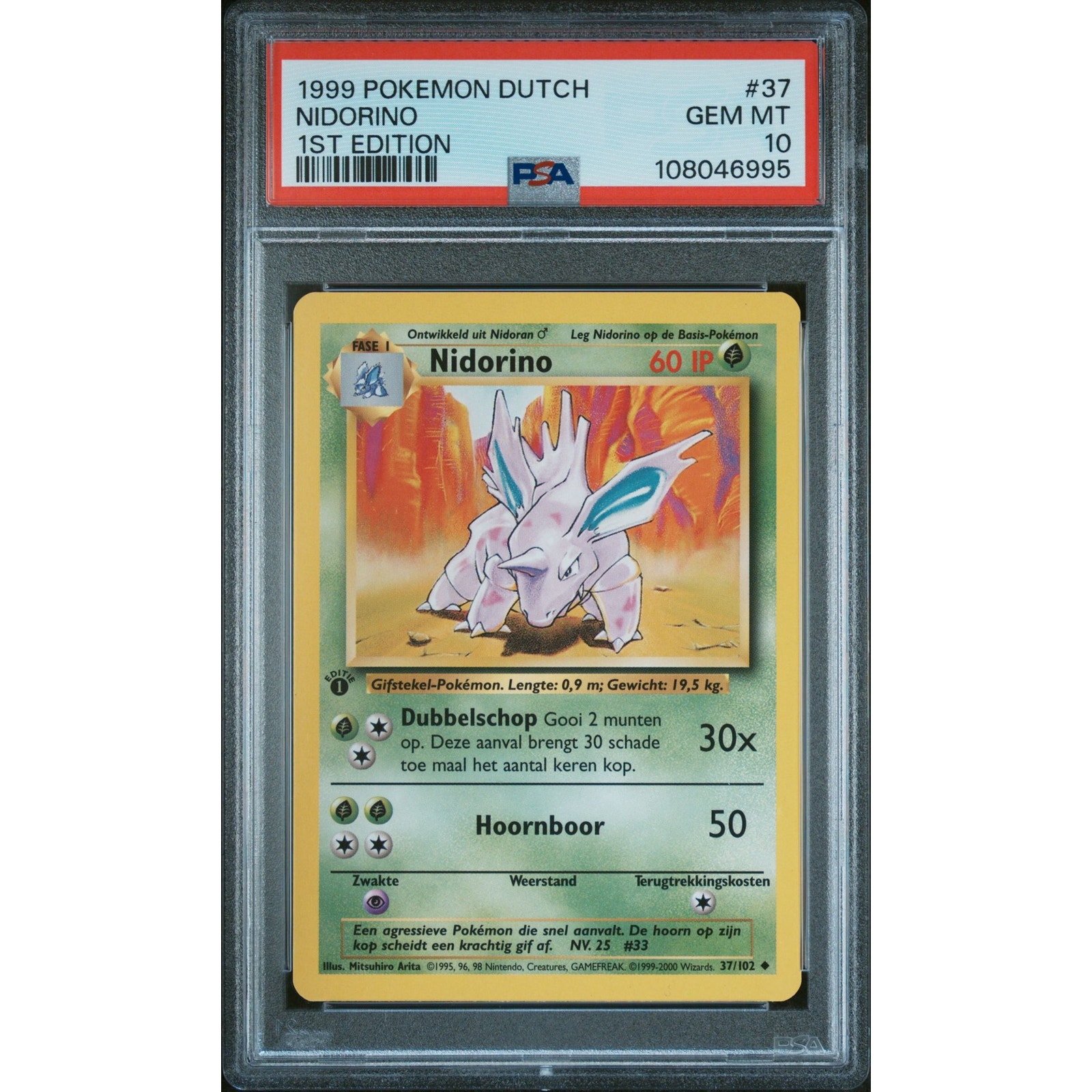 PSA 10 GEM MINT Nidorino 1st Edition 37/102 Pokémon Dutch Base Set (CGC/BGS)