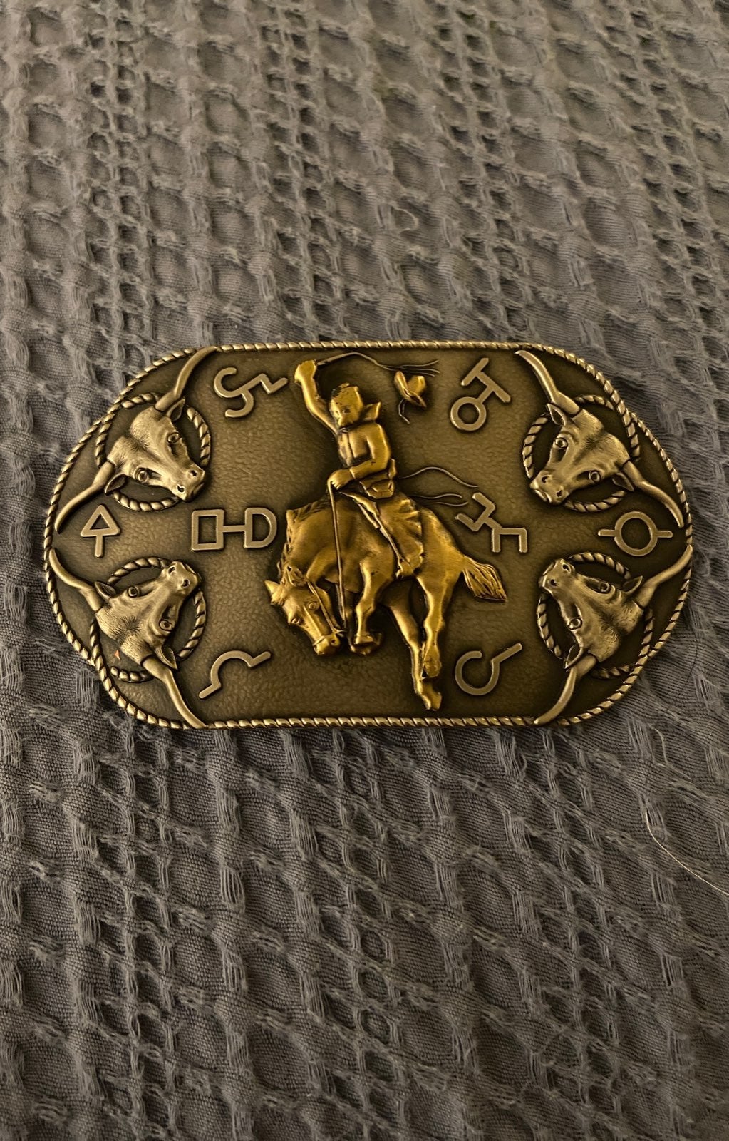 Vintage Bronze Ropes Steers Brands