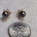 GRAY PEARL 14KT YELLOW GOLD STUD EARRINGS.