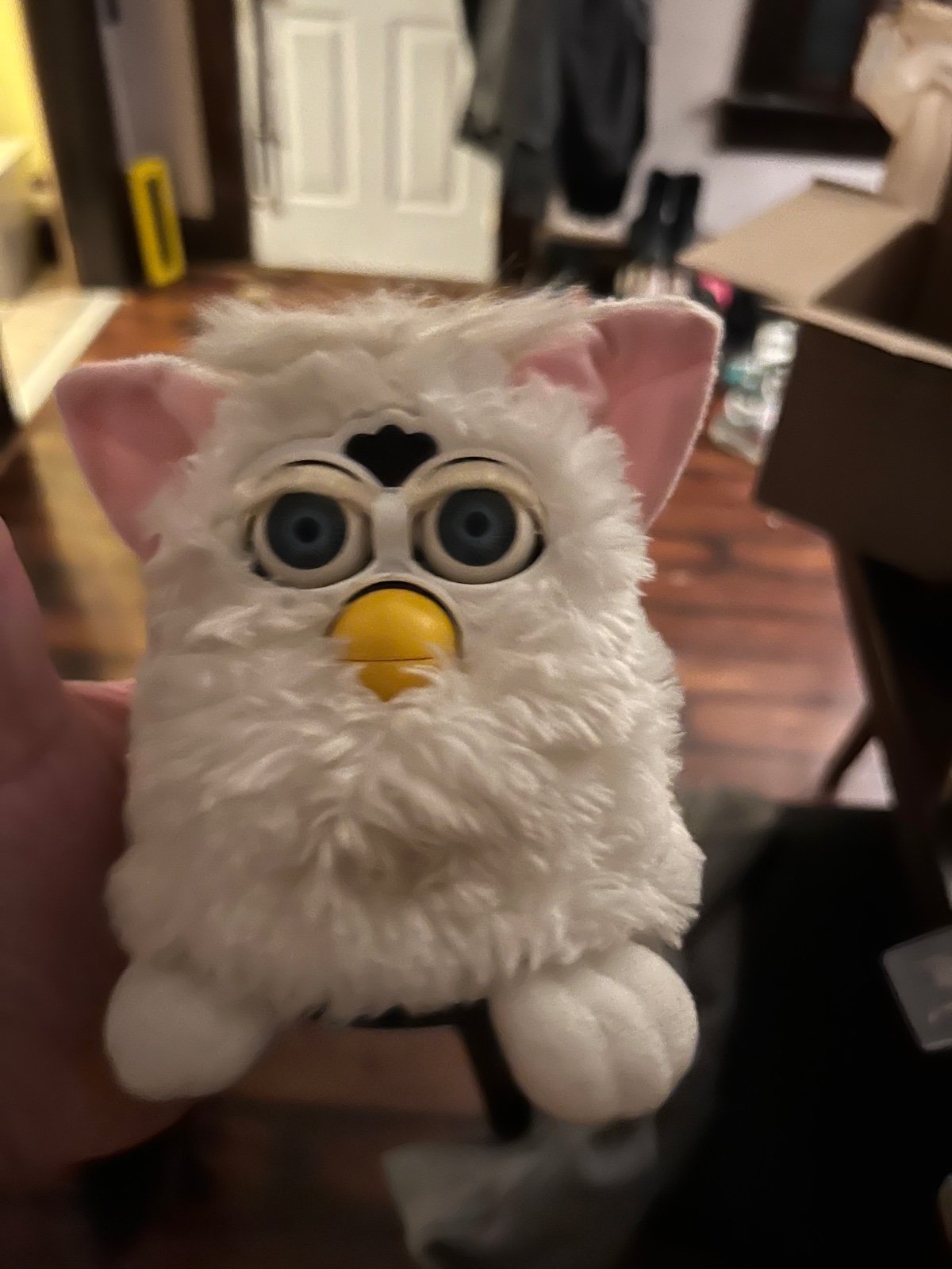 Furby
