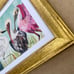 Framed coastal wading wetland birds by the artist, me!