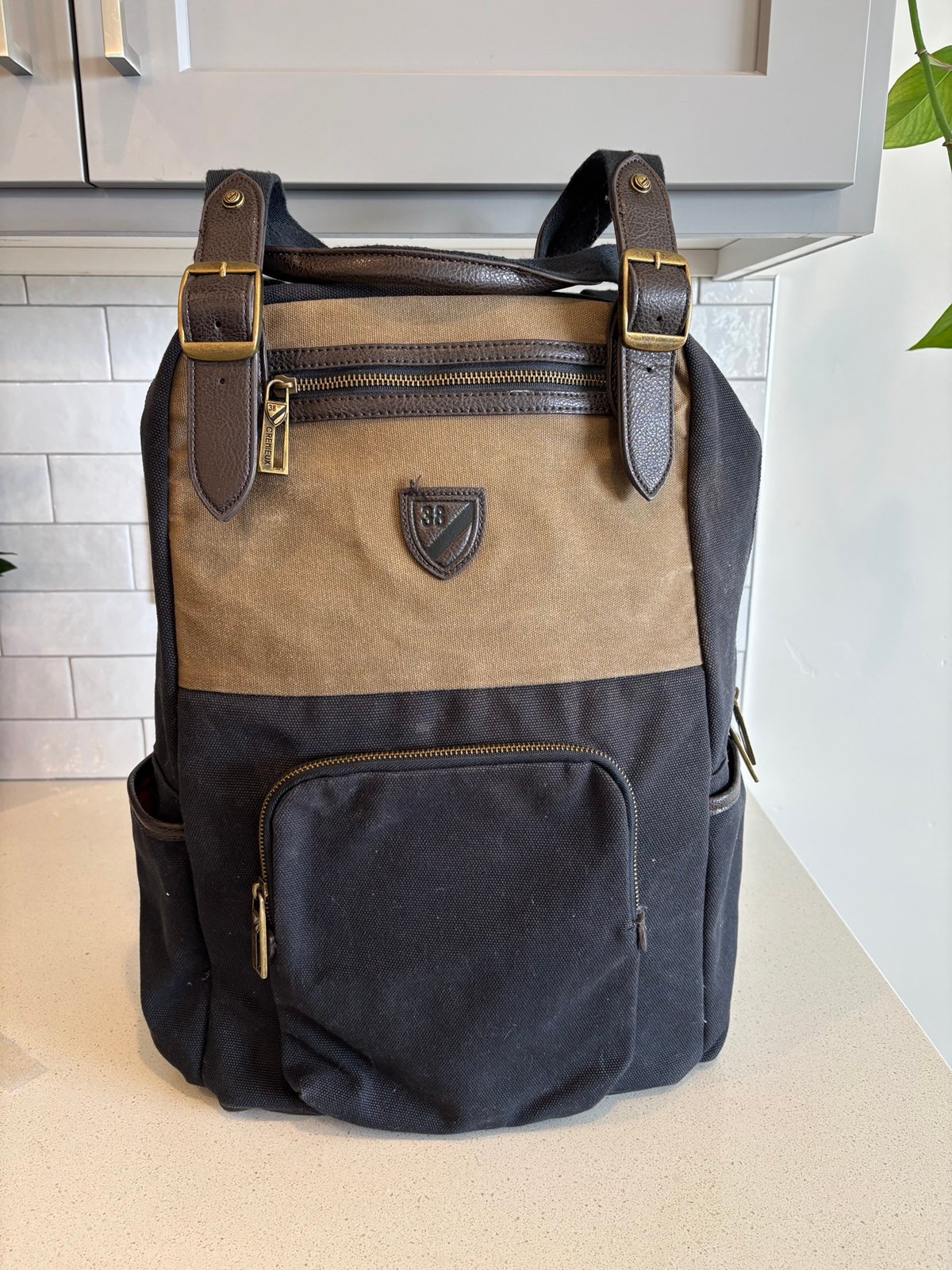 Daniel Cremieux Limited Edition Canvas Leather Backpack Laptop Messenger Bag EUC