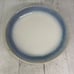 Martha Stewart PERRY STREET BLUE Reactive Blue Band Stoneware Salad Plate Set 4