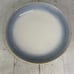 Martha Stewart PERRY STREET BLUE Reactive Blue Band Stoneware Salad Plate Set 4