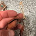 15 Western Theme Resin Ornaments 2 Cowhide Stockings, And Some Small Boot Lights