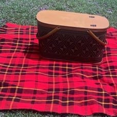 VTG Hawkeye 1960’s picnic basket