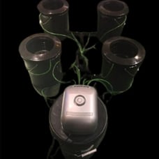 4-Plant Deluxe RDWC Hydroponic System W/ 5.3-Gallon Main Control Reservoir &Leca