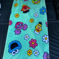 Sesame Street oversize plush throw - incredibly soft! Brand new 60”x70”