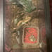 reptile tank + decor