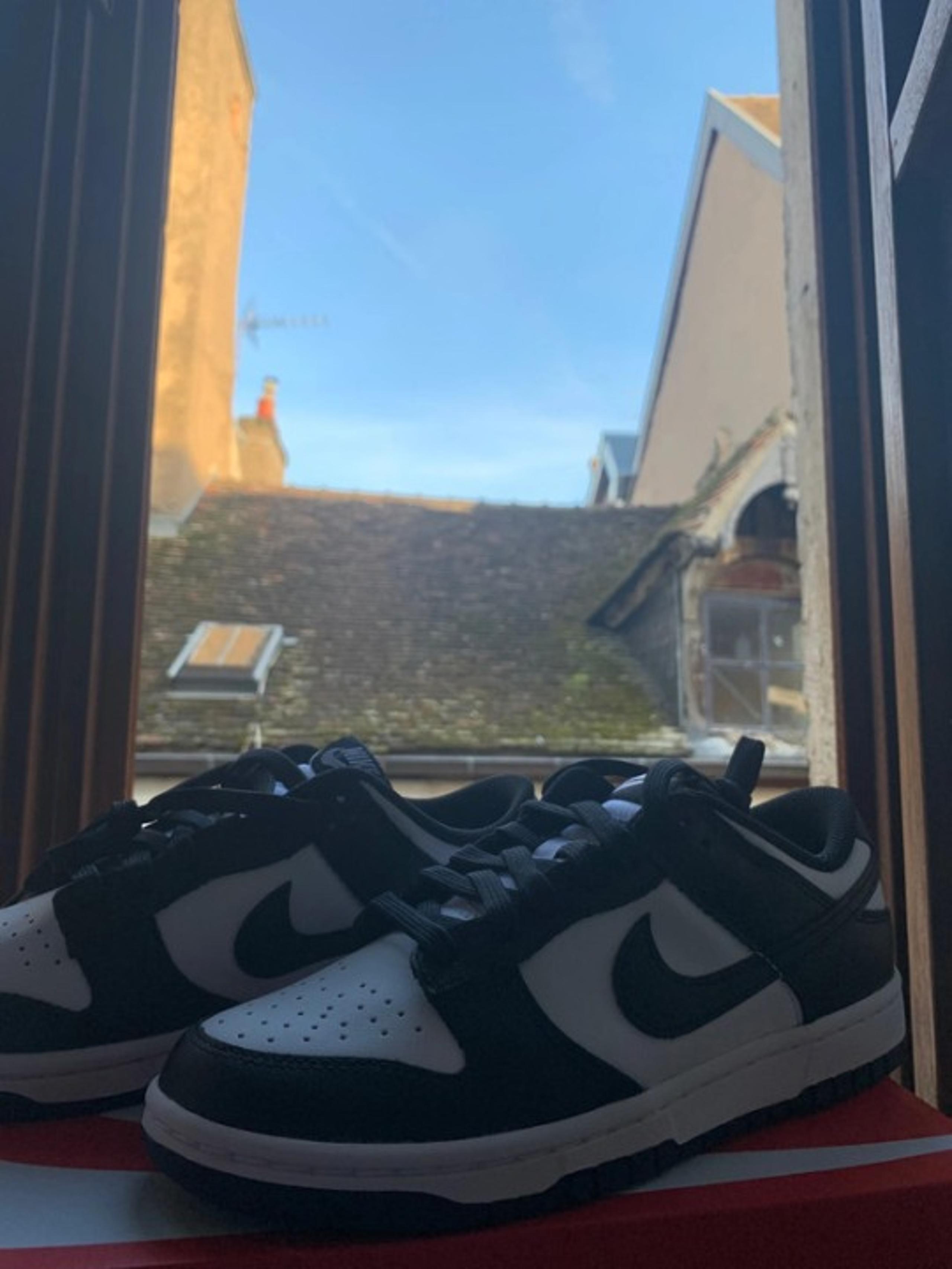 Nike Dunk Low Black White Panda Men's Shoes Size 8.5