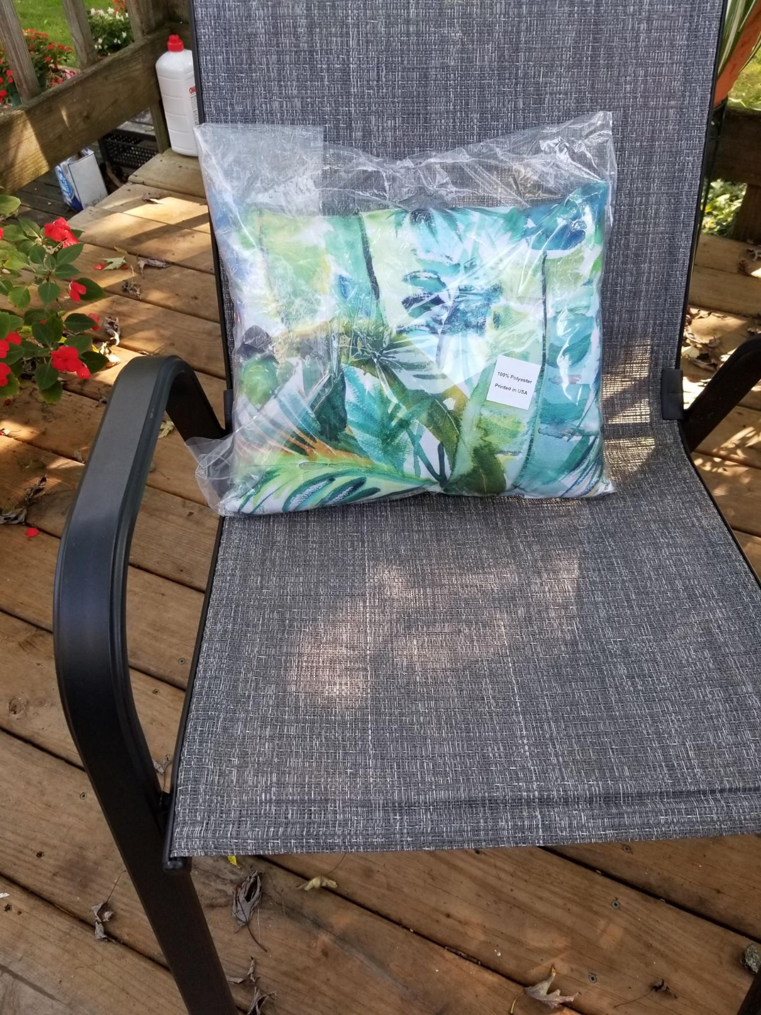 Wayfair Indoor/Outdoor Throw pillows