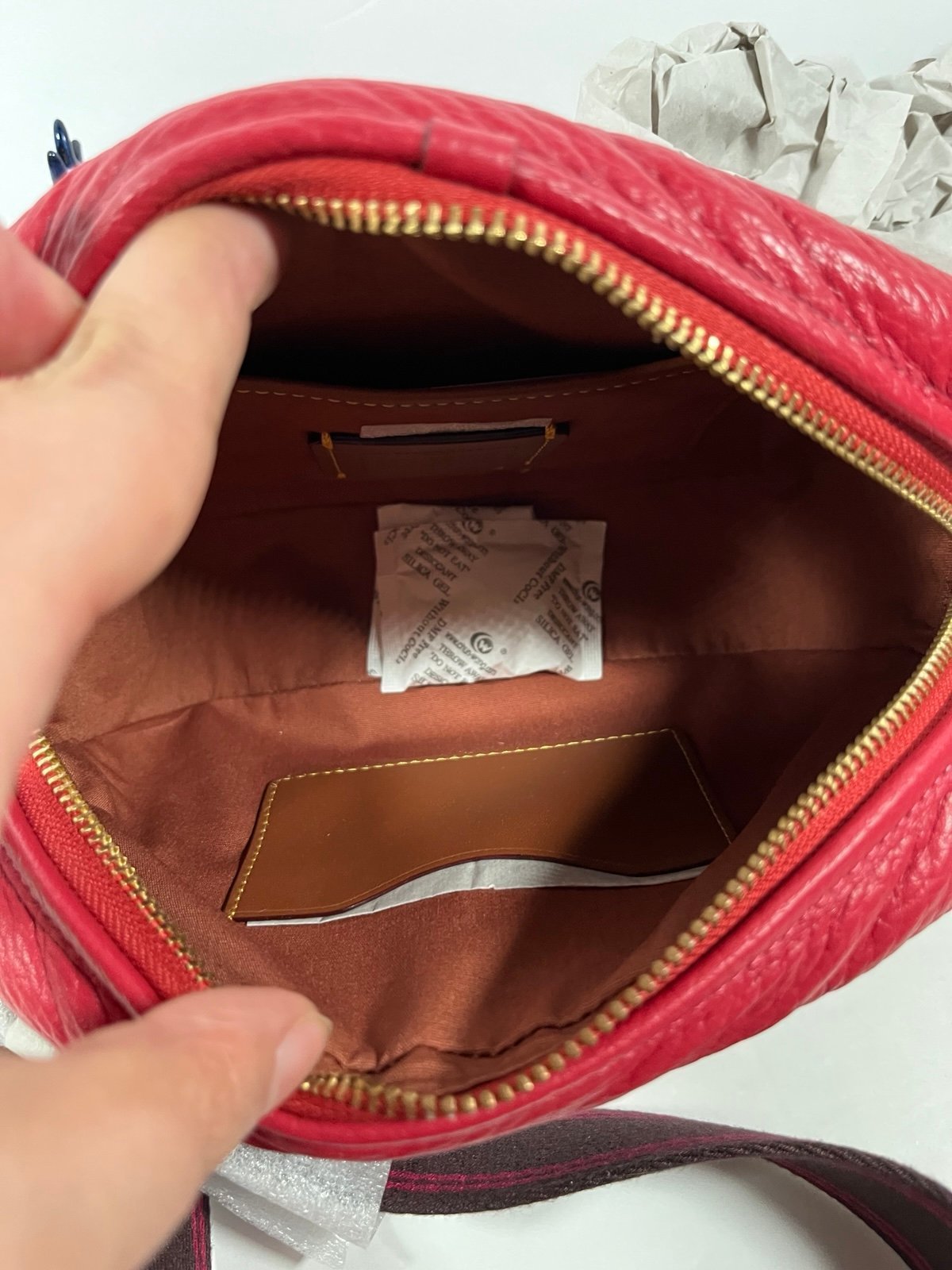 Coach Valentine limited edition $350  NWT - detail