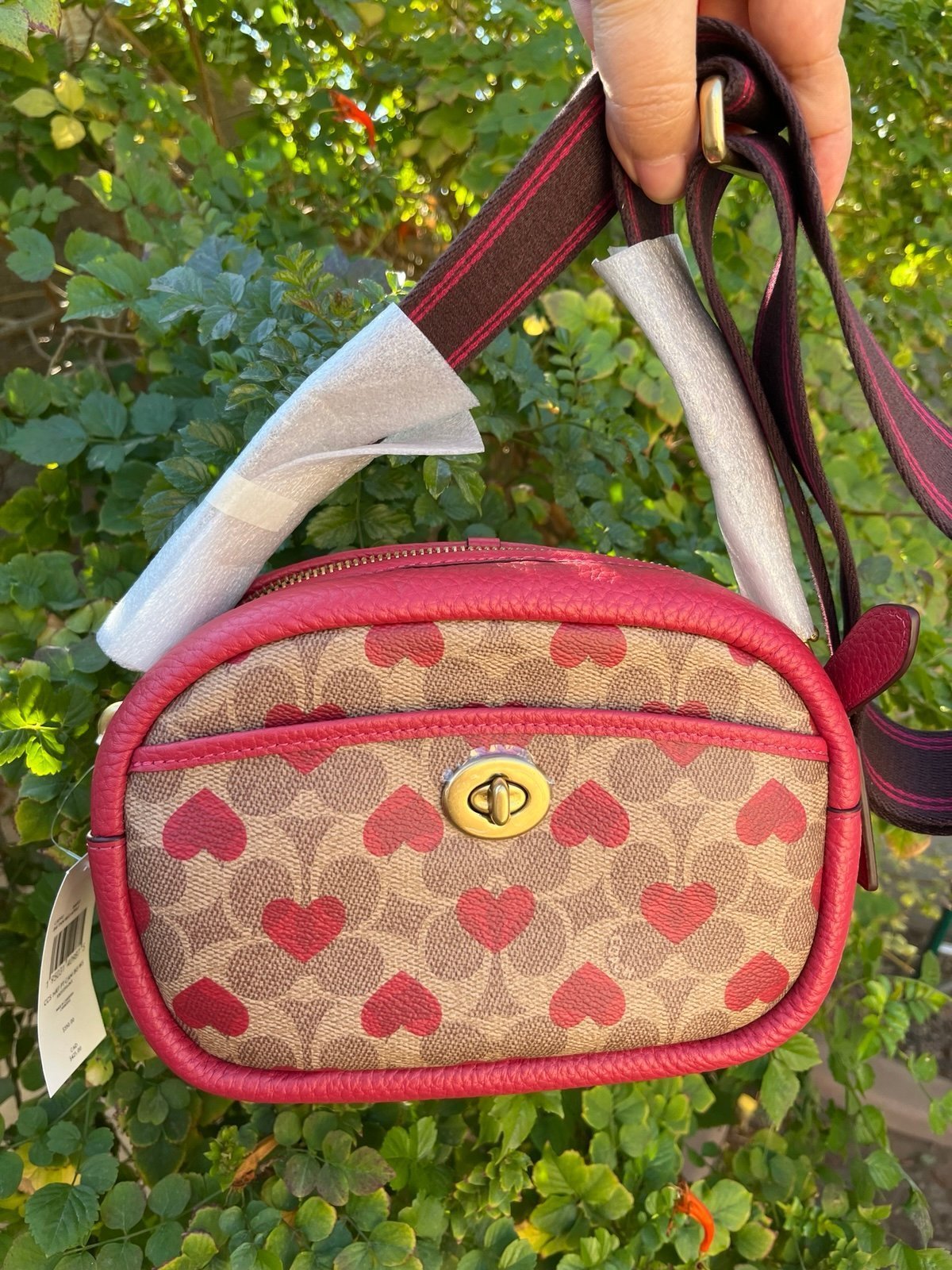 Coach Valentine limited edition $350  NWT - detail