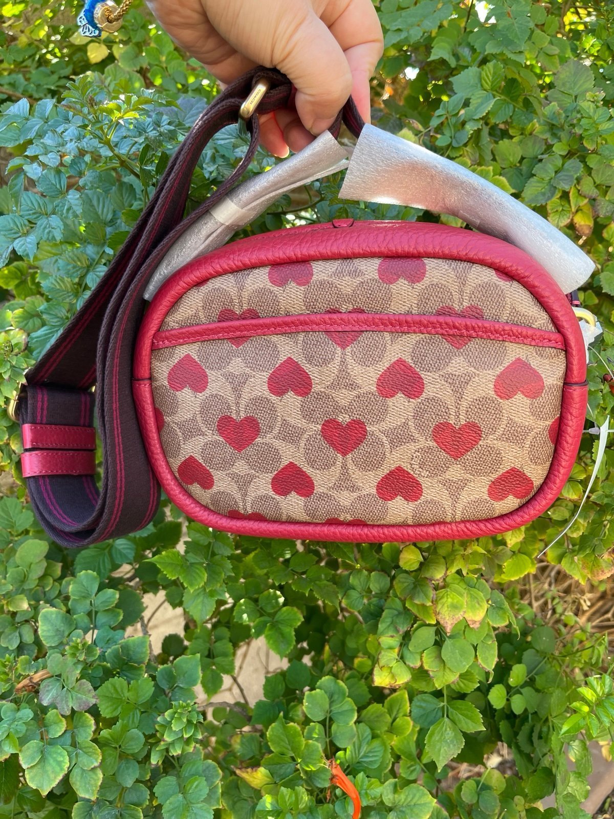 Coach Valentine limited edition $350  NWT - detail