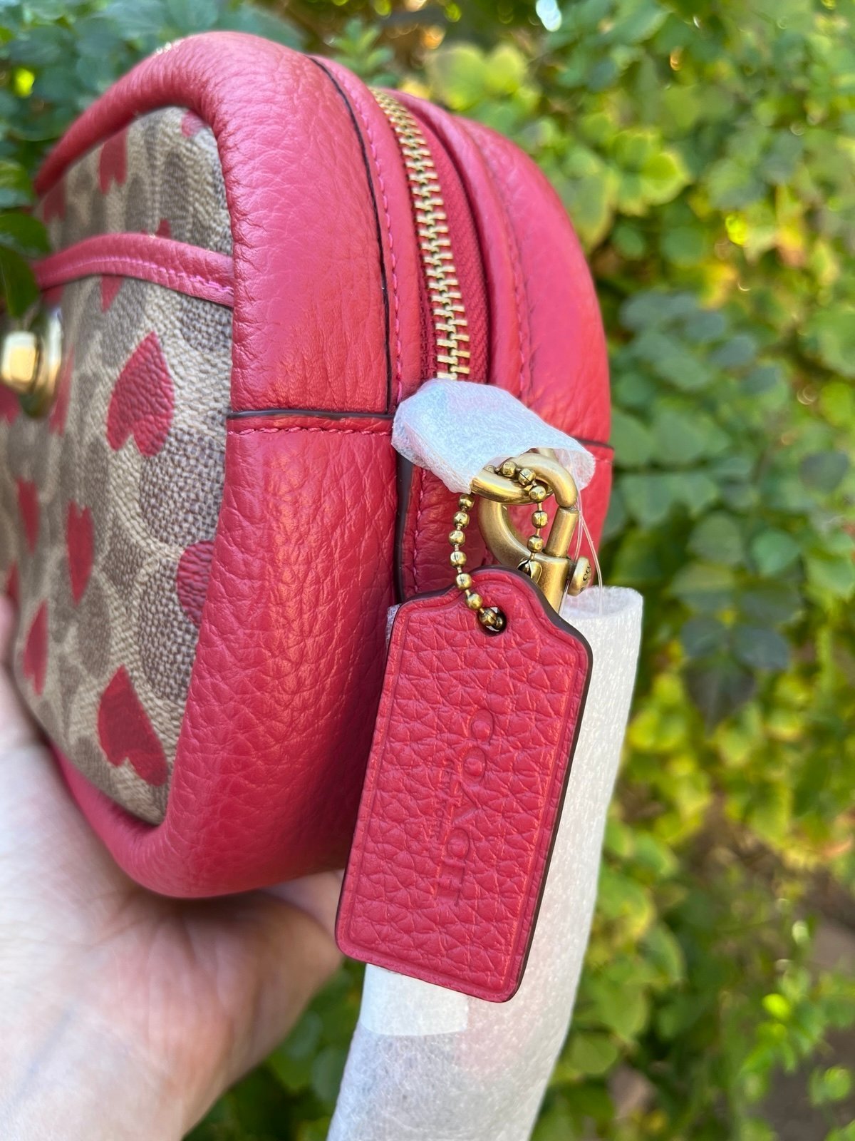 Coach Valentine limited edition $350  NWT - detail