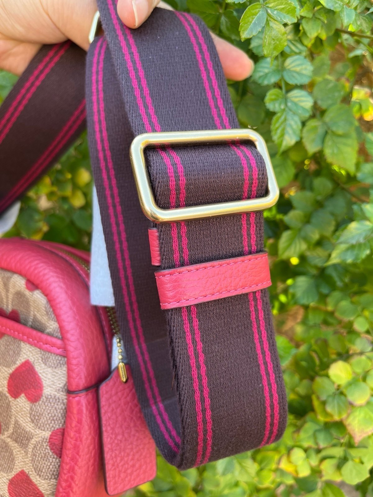 Coach Valentine limited edition $350  NWT - detail