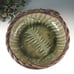Oversized ceramic serving bowl with fern design
