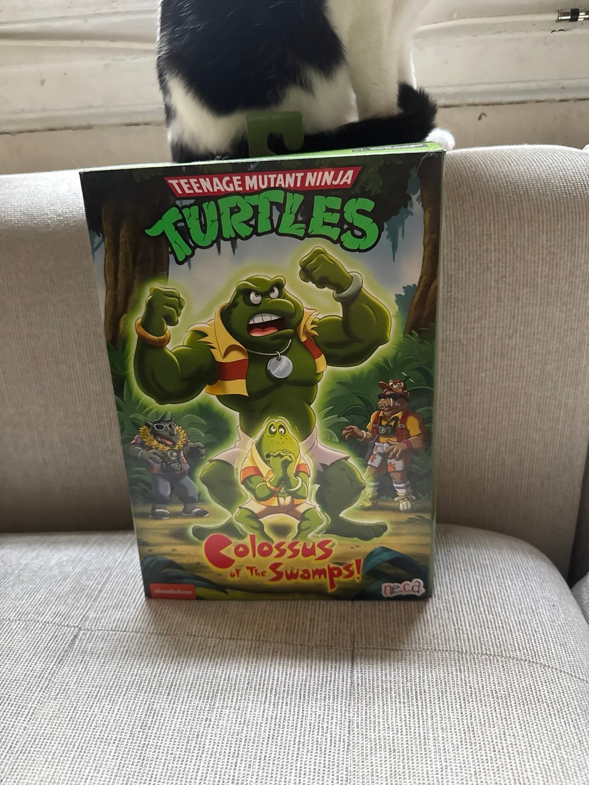 NECA TMNT
