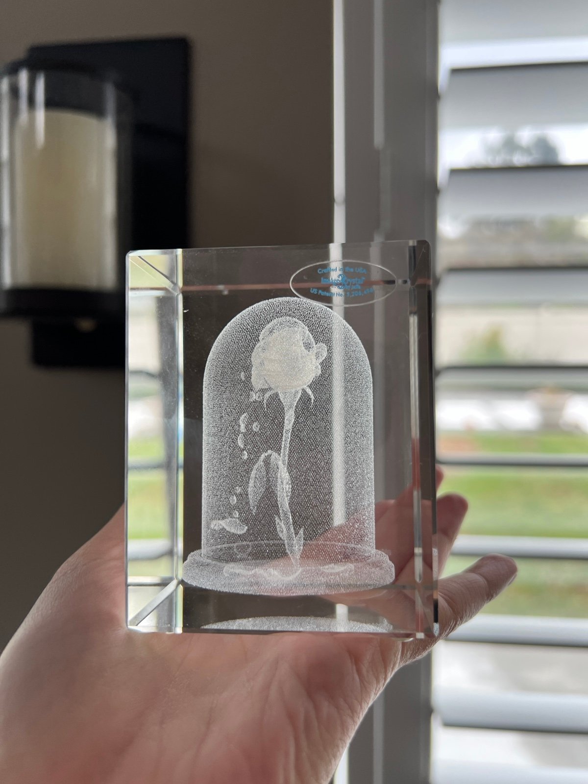 Crystal Rose in case Disney beauty and the beast image