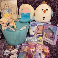 New Disney Frozen Elsa & Olaf Easter basket books Squishmallows dolls wall art