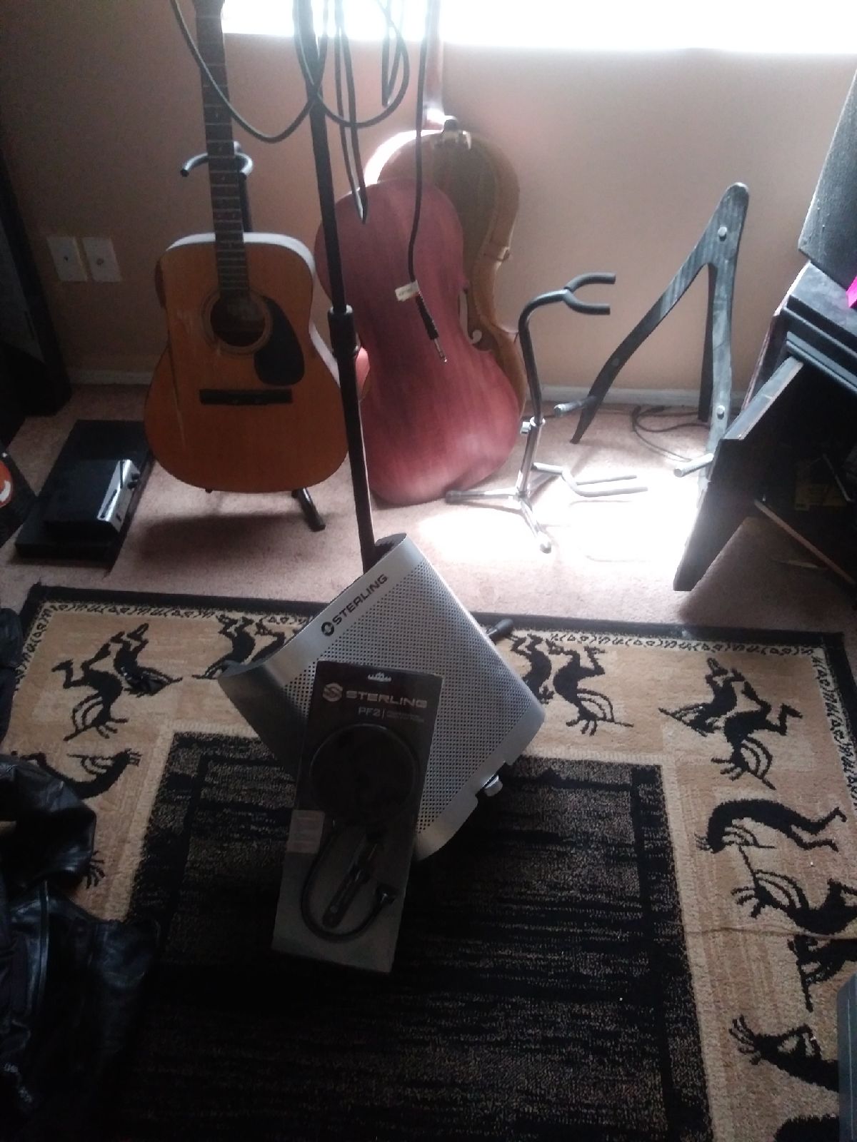 Mic set up