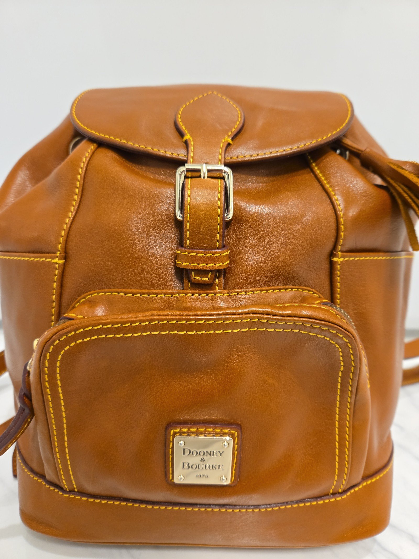 Dooney and Bourke Brown Authentic Leather backpack