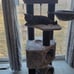 55.5-in Faux Fleece Cat Tree, Light Gray