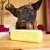 Bundle of 2 New Bark Box Super Chew Pass The Butter Dog Toy Stick Of Butter