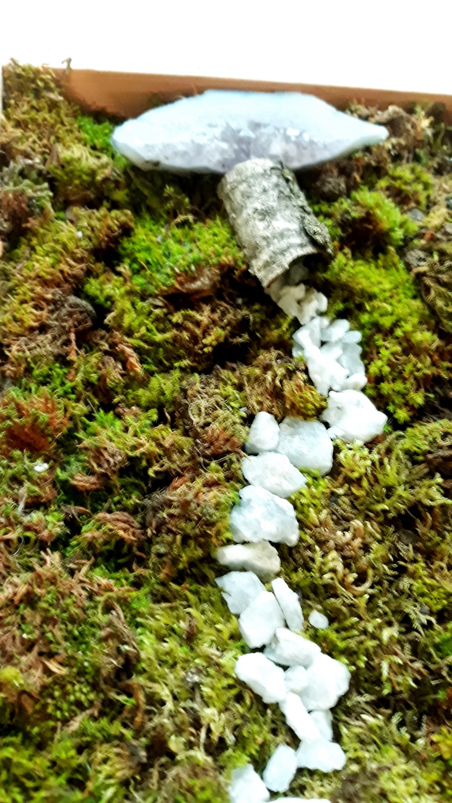 Live Moss indoor garden with amethyst crystals & quartz ◇