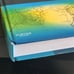Atlas of Head and Neck Surgery Cohen Clayman Hardback Saunders 9781416033684