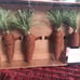 Easter napkin rings 4 set Nicole miller