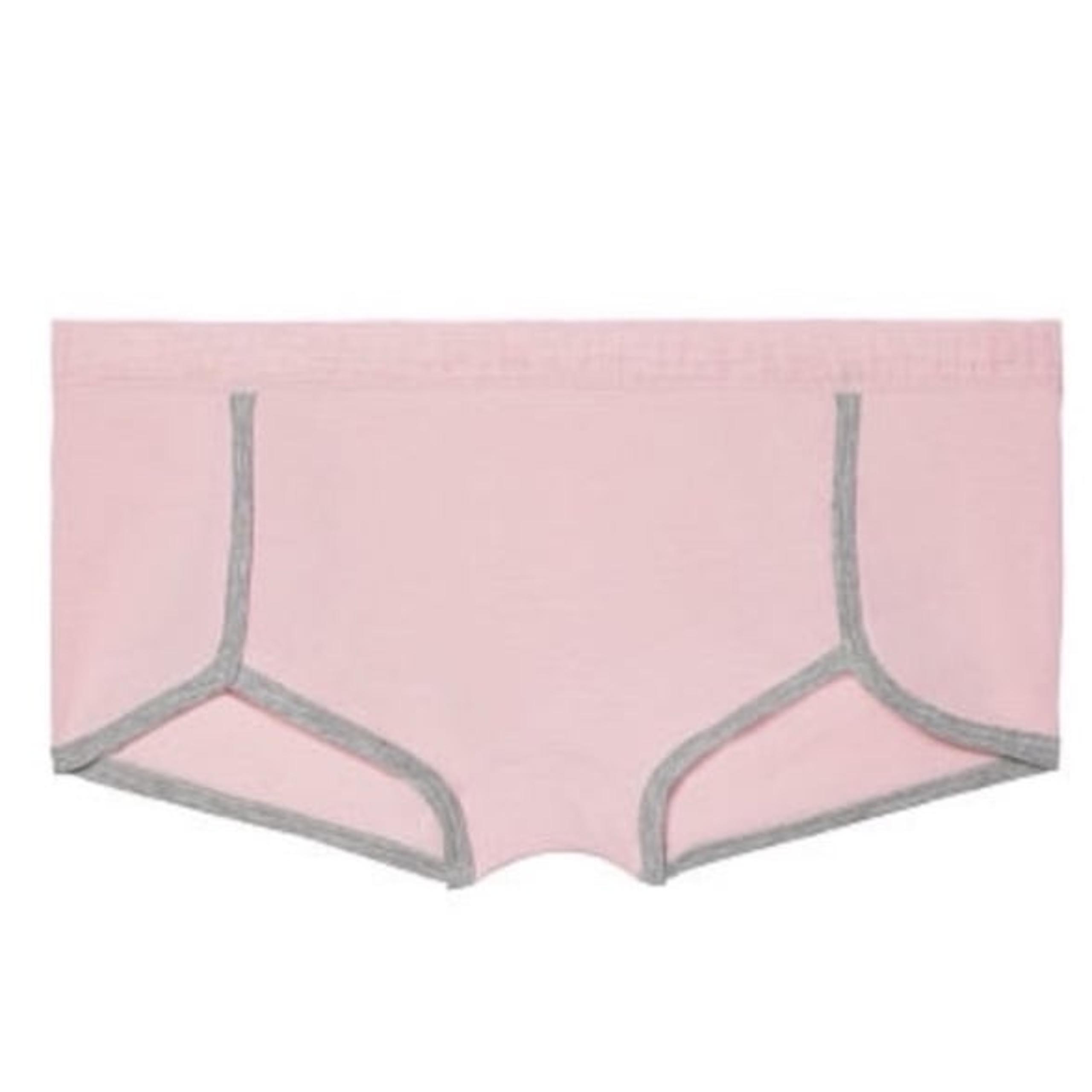New Victoria’s Secret PINK Mesh Logo Boyshort Panties - Medium