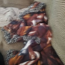 Horse blanket