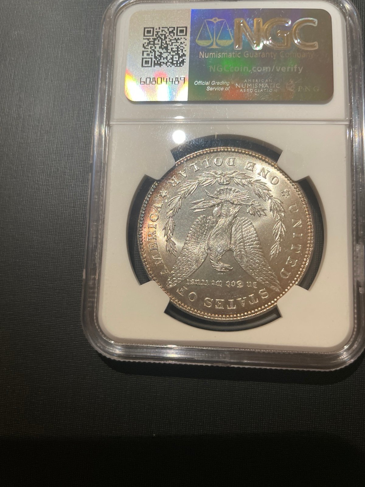 人気ブランド新作豊富 1878 7TF 63 MS NGC VAM-101 1 TOP-100 Dollar Silver Morgan スカート
