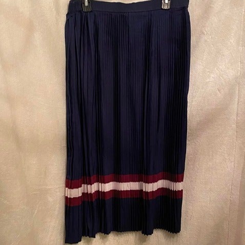 NWT Dip Blue Pleated Skirt Size XL dFw2s927r