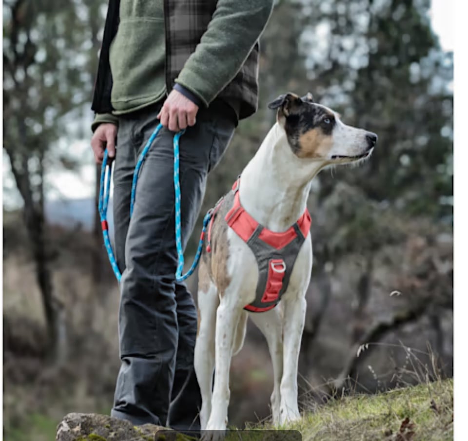 Kurgo Journey Air Harness For Dogs Grey/Pink Vest Harnesses For Dogs Small NEW