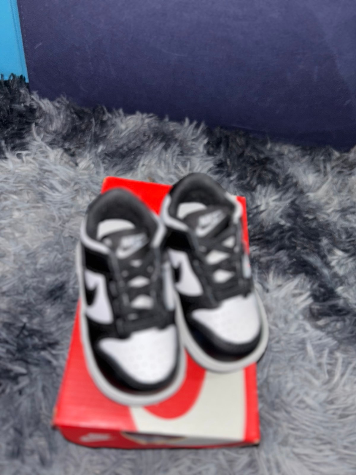 Nike Dunks