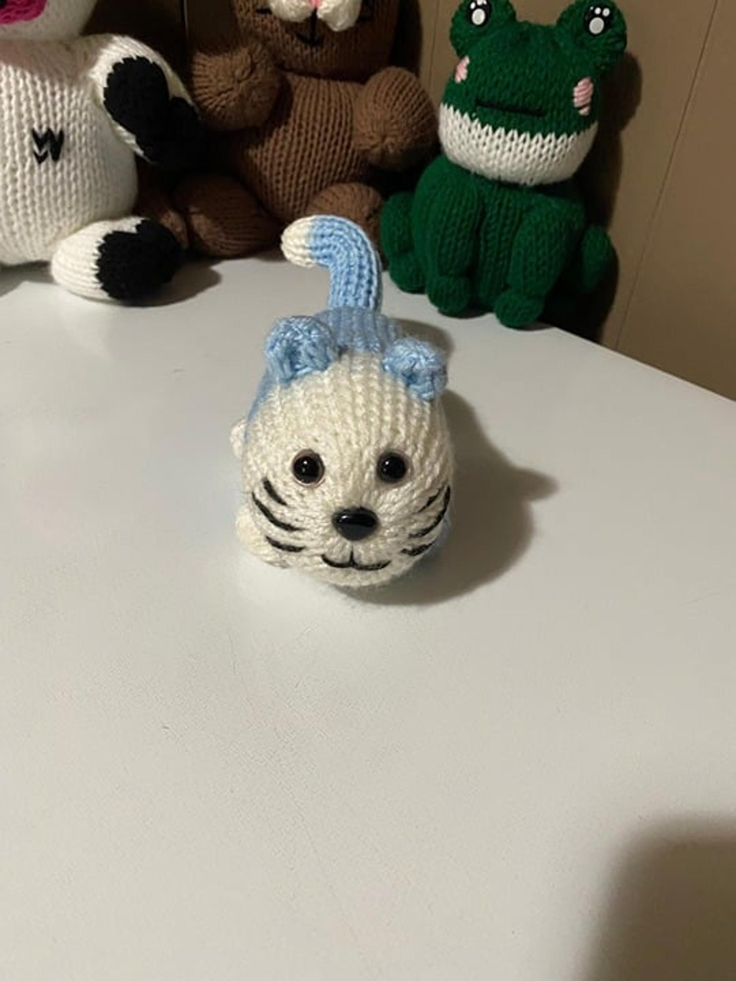 knitted baby cat