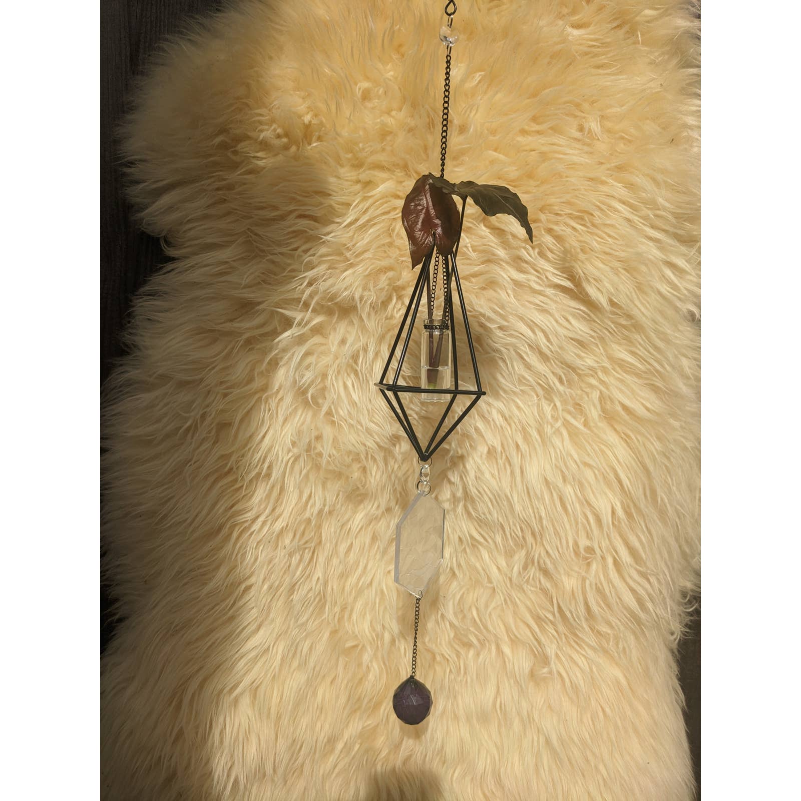 Geometric Plant Propagation Suncatcher #4 Syngonium Maria